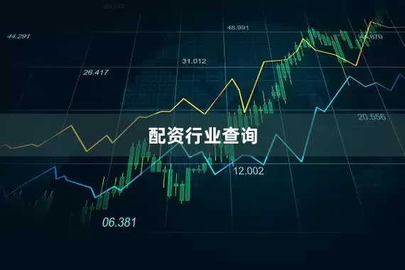 配资行业查询
