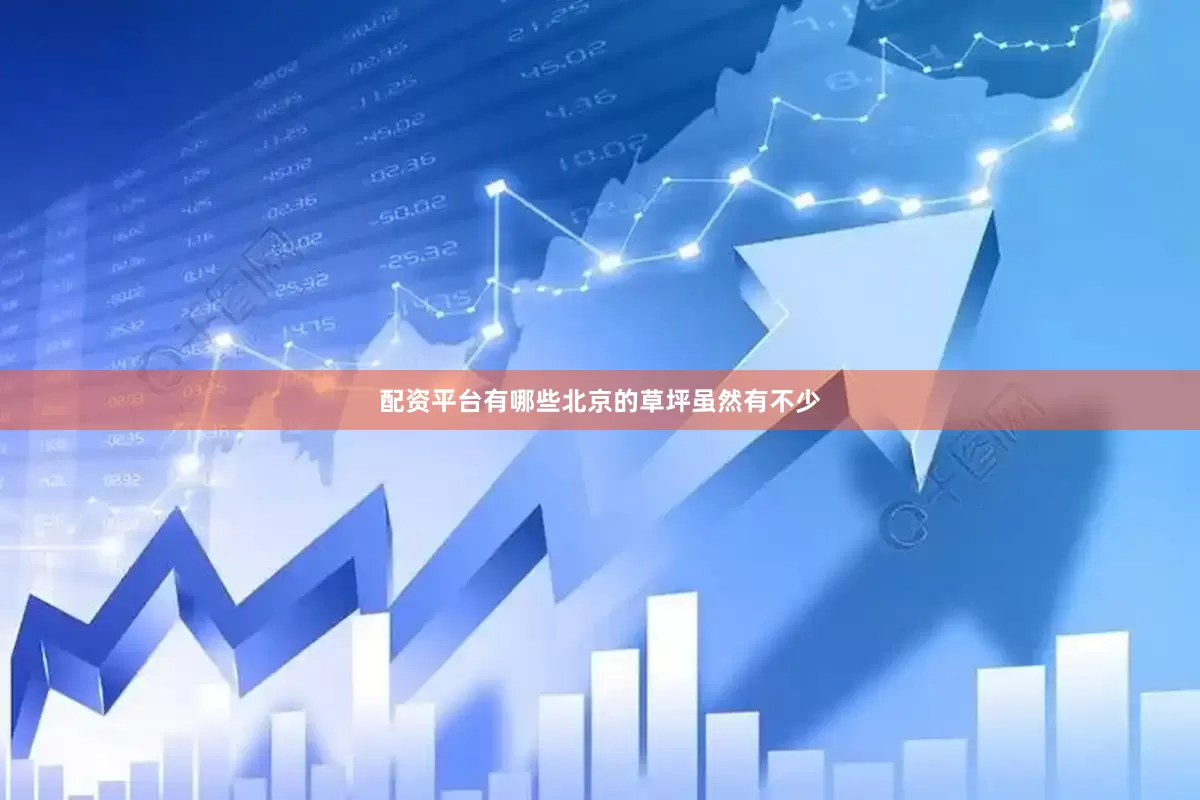 配资平台有哪些北京的草坪虽然有不少
