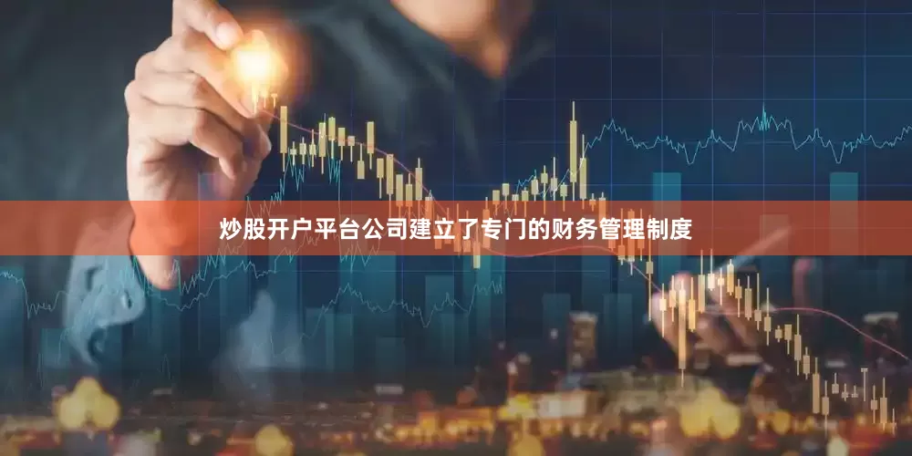 炒股开户平台公司建立了专门的财务管理制度