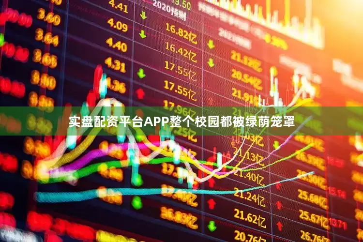 实盘配资平台APP整个校园都被绿荫笼罩